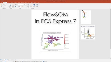 FlowSOM - (Short video)