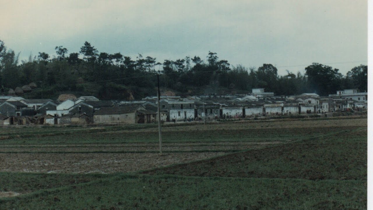 Toisan #taishan #toisan #Hoisan#root tracing Taishan Donghuali,台山三合东华里尋根,40年后 ...
