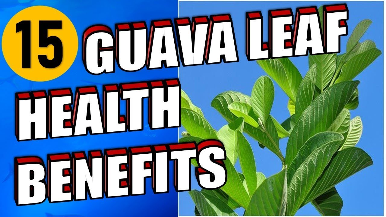 guava leaves for skin