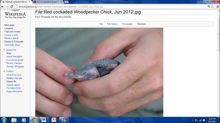 Uploading a Picture to Wikipedia