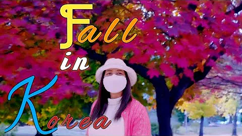 Changwon Waedong park  ideal for all seasons.