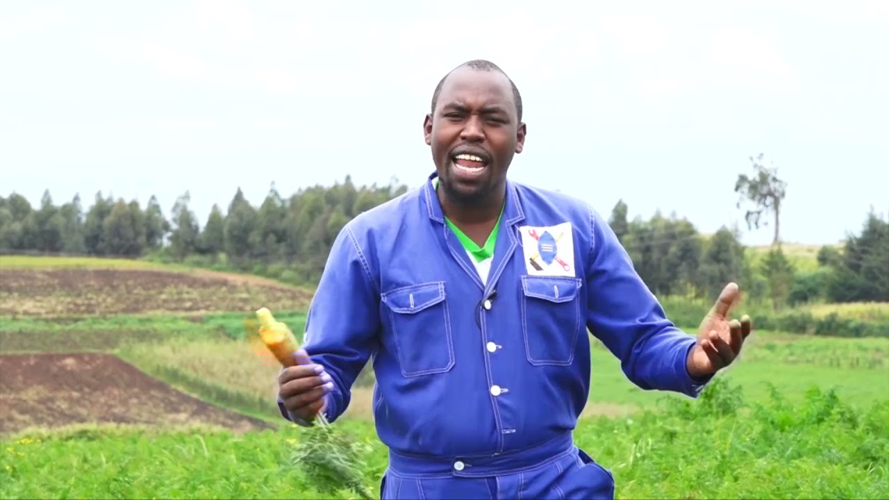MAKE 150k to 200K (kilimo Biashara) with an Acre of Carrots, expert advice and good crop care