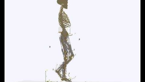 Musculoskeletal modelling of lower limb during gait