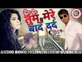 सबसे दर्द भरा गीगी 2020 - Anu Dubey - तुम मेर बाद - Tum Mere Bad - Pyar Mohabbat Hindi Sad Songs Mp3 Song