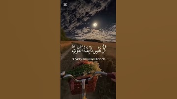 #قارئ عبد الرحمن مسعد # سورة العنكبوت #قراءن الكريم #اكسبلور