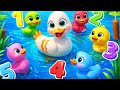 Five little ducks went out one day | Counting ducks for Toddler learning | nursery rhymes for babies