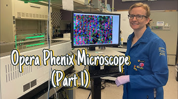Using the Opera Phenix Microscope (part 1)