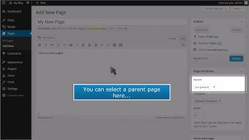 How to manage pages in WordPress