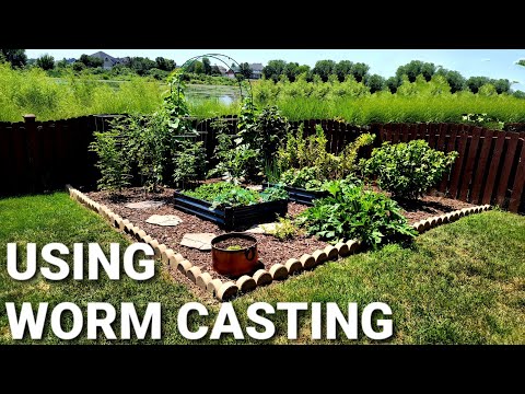 How I Use Worm Castings In My Garden | July 2021 Garden Tour | Vermicomposting