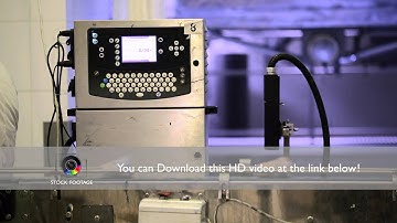 Conveyor with packed ice-cream