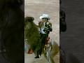 Introducción de #Bandida en El Último Jaripeo