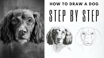 Easy Step by Step Guide for Drawing a Realistic Dog