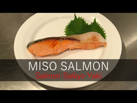 Best Easy MISO SALMON Recipe Salmon Saikyo Yaki