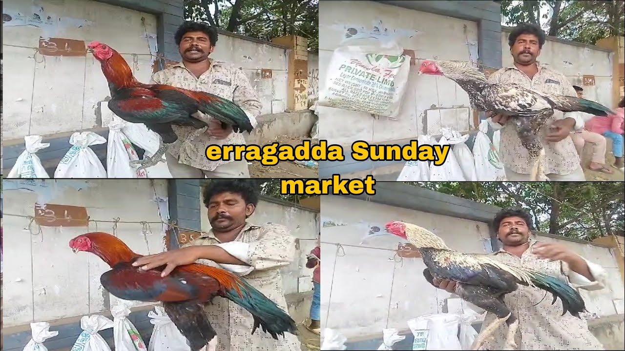 29/10/2023 erragadda Sunday market..