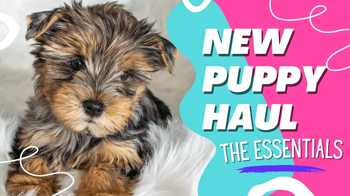 PUPPY HAUL: The Essentials for Small Dogs