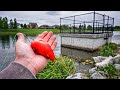 Bank Fishing For POND MONSTERS w/ Kool-Aid Chicken!!! (I GOT HURT)