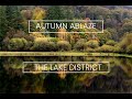 Landscape Photography | Autumn at Yew Tree Tarn in the Lake District