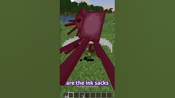 Squids In Minecraft…