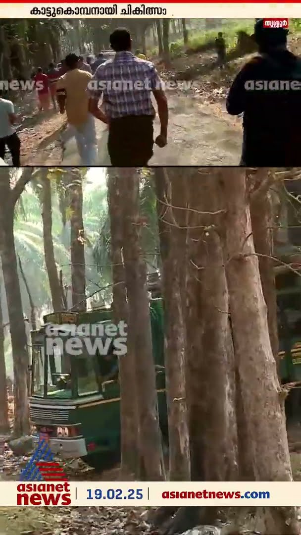 ഒടുവിൽ മസ്തകത്തിന് പരിക്കേറ്റ കൊമ്പൻ കോടനാട്ടിലേക്ക്