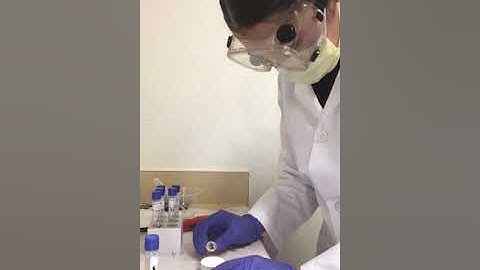 J Sanchez, Bio 225,  Week 6, Salt Tolerance Testing