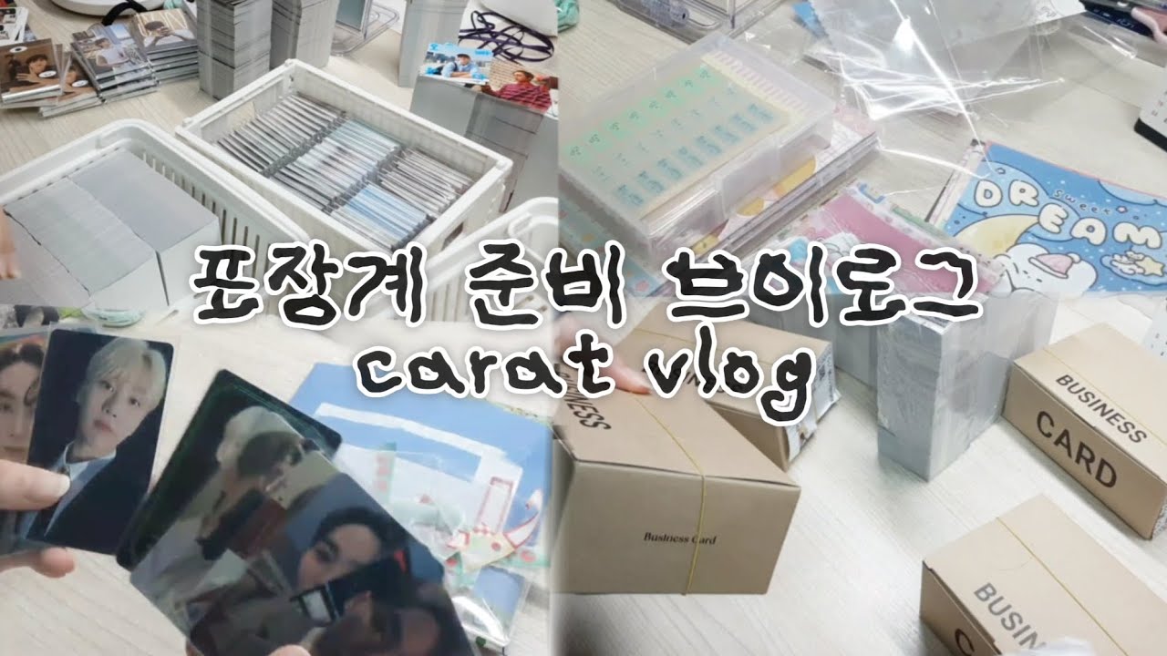 [캐럿 브이로그] 애즈랜드 6만원어치 발주깡 | 다이소깡 | 반택깡 | 애즈랜드 발주깡 | 애즈랜드 | 도무송 | 판매계