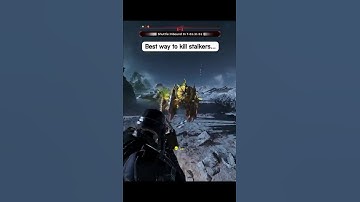 Best way to kill stalkers?