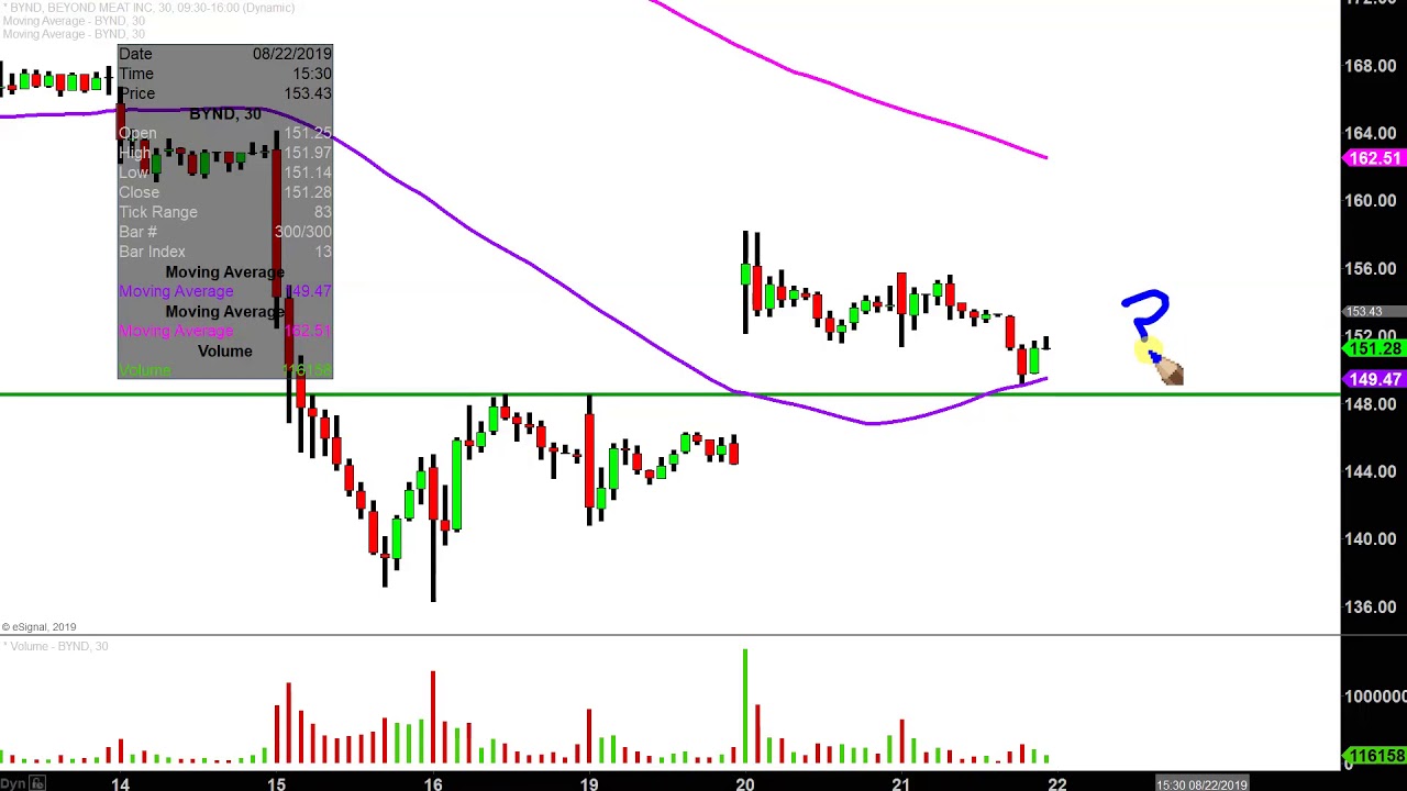 Beyond Meat Stock Chart