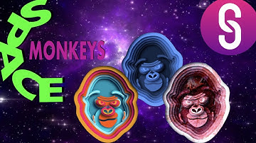 Subsocial Network - Space Monkeys 001