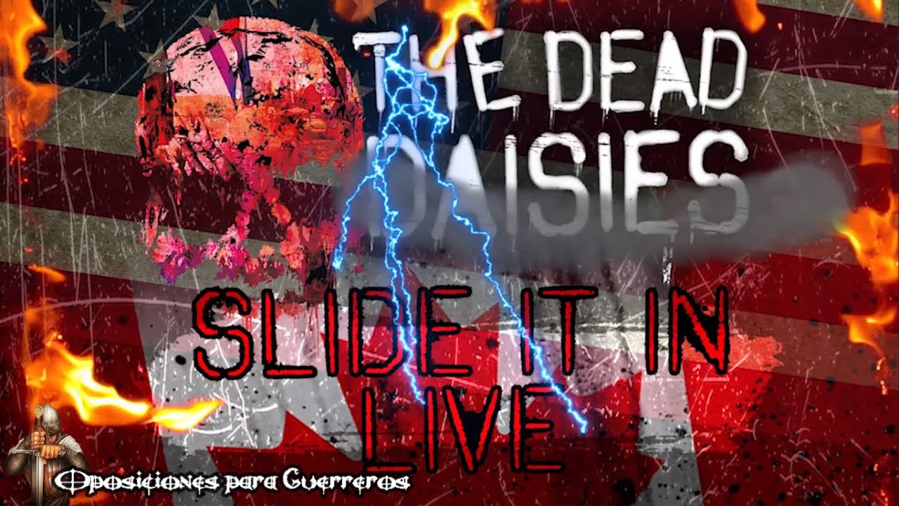 The dead daisies slide it in directo youtube