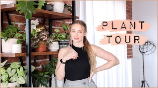 MOJA KOLEKCJA ROŚLIN | HOUSE PLANT TOUR #2