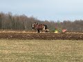 EARLY SPRING PLOWING