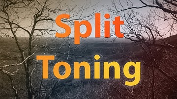 Split Toning in Adobe Camera Raw and Lightroom vs Adobe Photoshop - Photo Tips