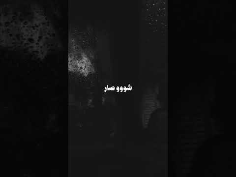 يا قلبي شو بدك منو اصالة نصري