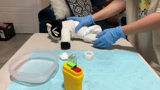 Phlebotomy Practical Skills