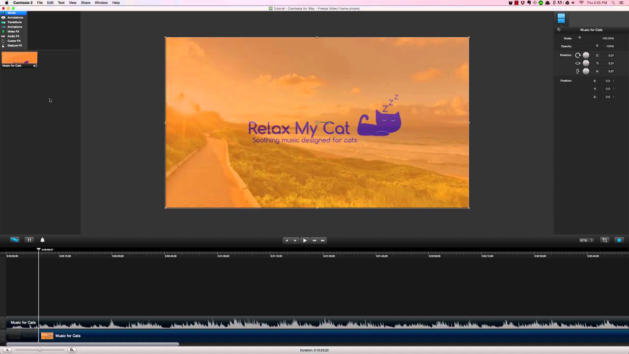 Camtasia for Mac - Freeze Video Frame - YouTube