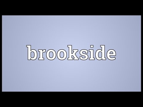 Video: ¿Qué significa brookside?