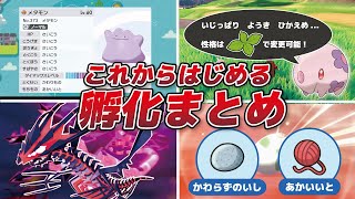 21秋最新版 孵化厳選の準備まとめ ポケモン剣盾 Youtube