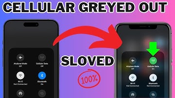 How To Fix Greyed Out Cellular Data On iPhone