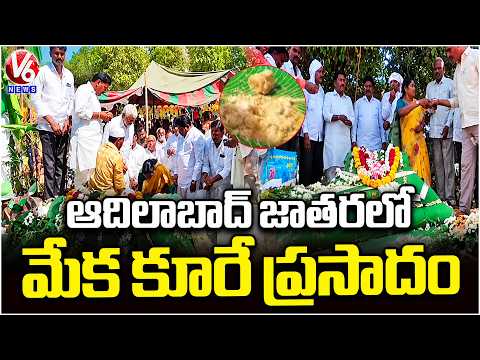 Grand Konchavalli Jatara in Adilabad | Ghatka & Mutton Curry Prasadam | V6 News - V6NEWSTELUGU