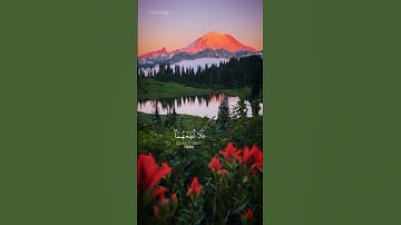 القارئ عبدالله الخلف | سورة لقمان - الآية 14 ، 15 | #قرآن #قرآن_كريم #اكسبلور #quran #explore
