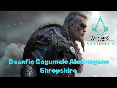 Assassin's Creed Valhalla - Puzzle do Cogumelo Alucinógeno (Shropshire)