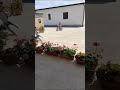Lorenzo - Fabrizio Agosto 2023