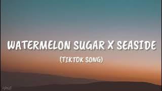 Harry Styles - Watermelon Sugar x Seaside - SEB [Tiktok Song]