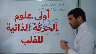 الحركة الذاتية للقلب [النشاط 38]