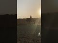 طاحت الكوتش هيام أول طيحة مربط المهاب طاحت الكوتش هيام أول طيحة مربط المهاب