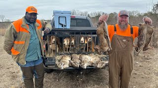 ¡A la caza de CONEJOS con BEAGLE! Atrapa y cocina