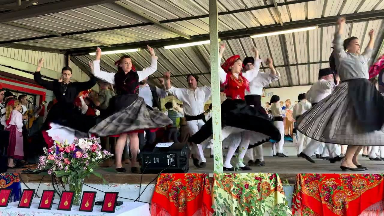 Cana verde dos galos - Festival de Villiers-le-Bel