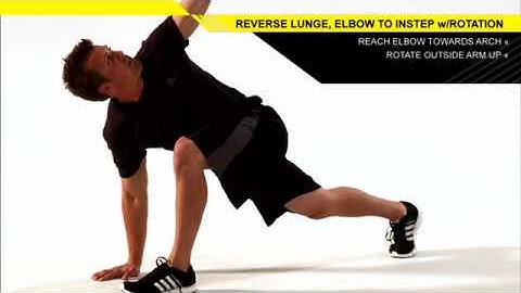 Reverse Lunge Elbow to Instep with Rotation