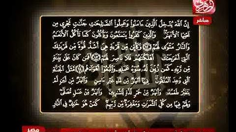 الشيخ حسن مرعب سورة محمد من الآية 12 إلى الآية 15