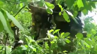 Rusya Ukrayna Çatışma Görüntüleri 18 Russia Ukraine Conflict Footage 18